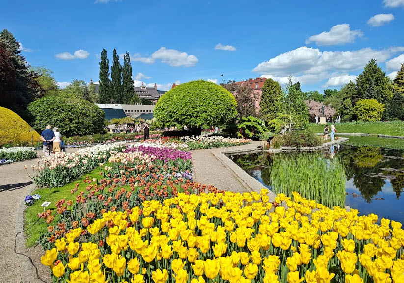 Botanical Garden of the University of Wrocław, Poland